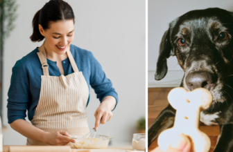 A Dog Sitter’s Guide to Baking Yummy Treats – The Dog Bakery