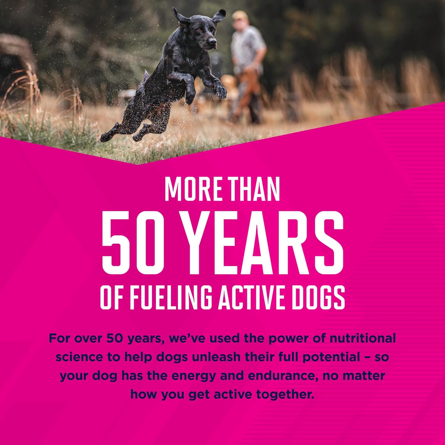 Eukanuba Puppy Large Breed Dry Dog Food, 30 lb Bag - Image 10