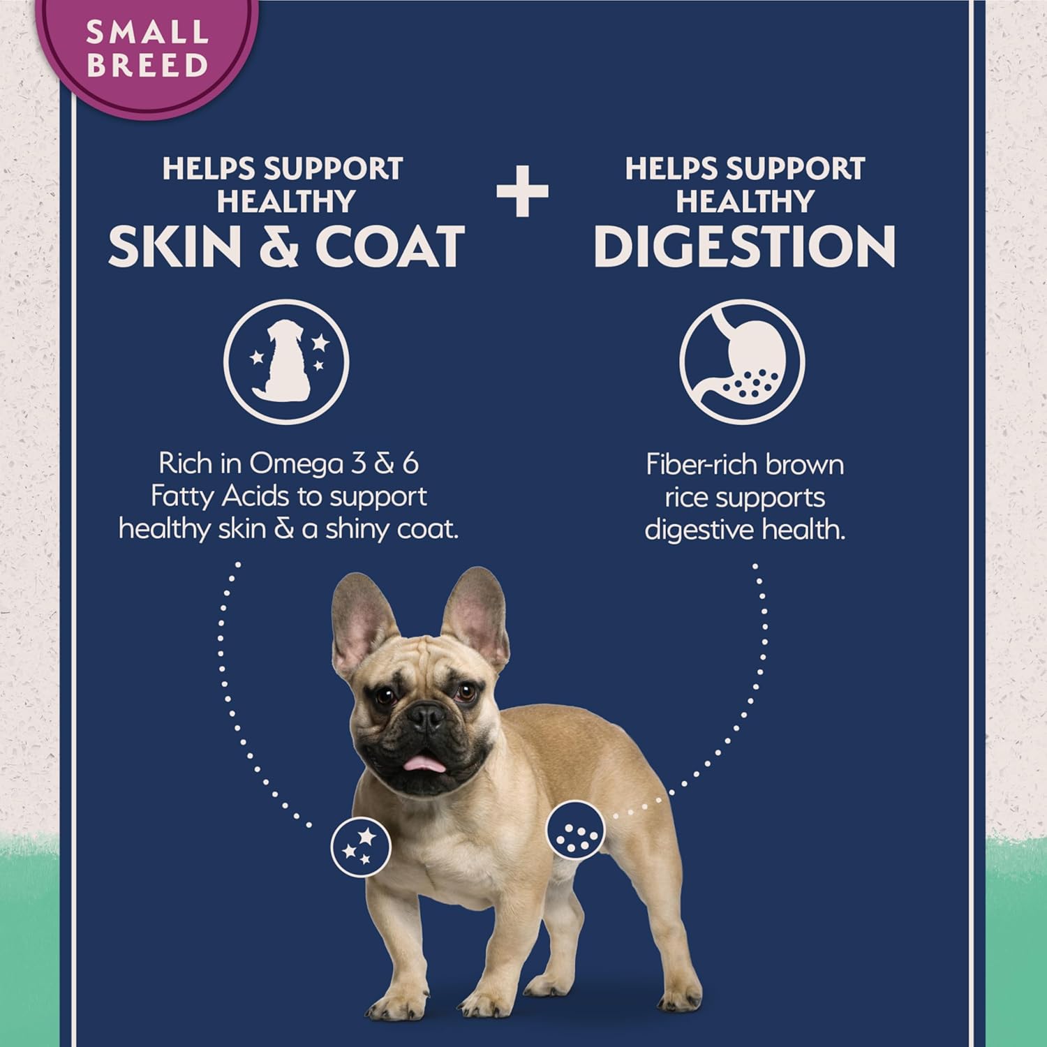 Natural Balance Limited Ingredient Small Breed Adult Grain-Free Dry Dog Food, Chicken & Sweet Potato Recipe, 4 Pound (Pack of 1) - Image 4