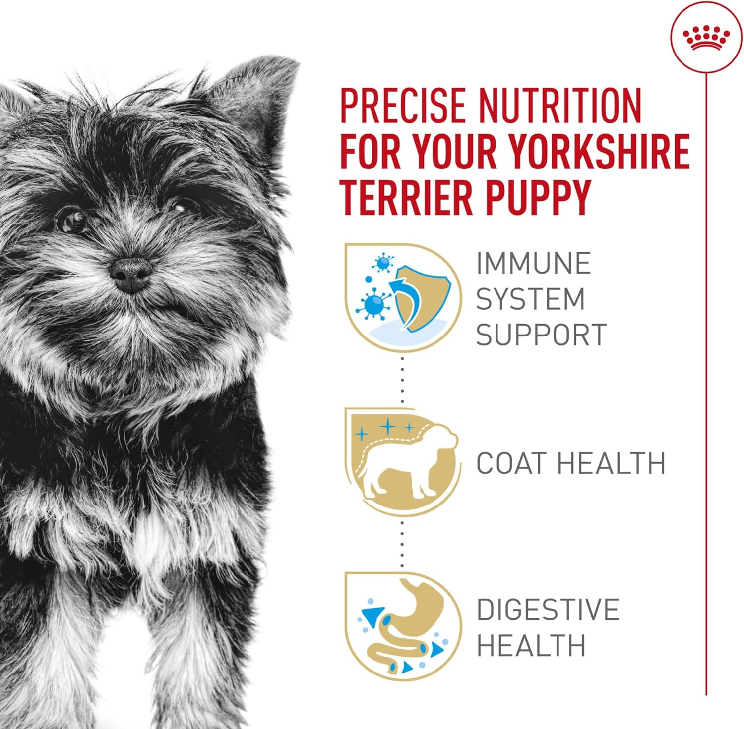 Royal Canin Breed Health Nutrition Yorkshire Terrier Puppy Dry Dog Food, 2.5 lb Bag - Image 4