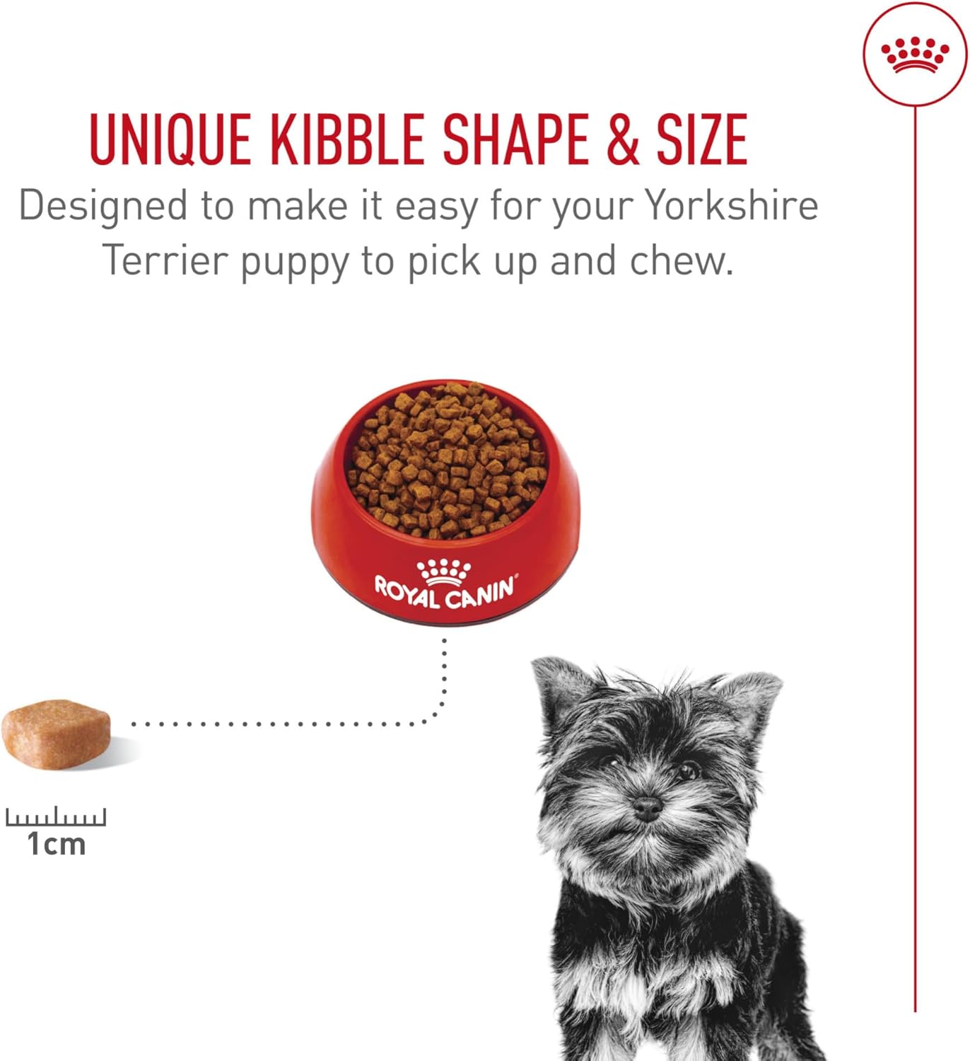 Royal Canin Breed Health Nutrition Yorkshire Terrier Puppy Dry Dog Food, 2.5 lb Bag - Image 5