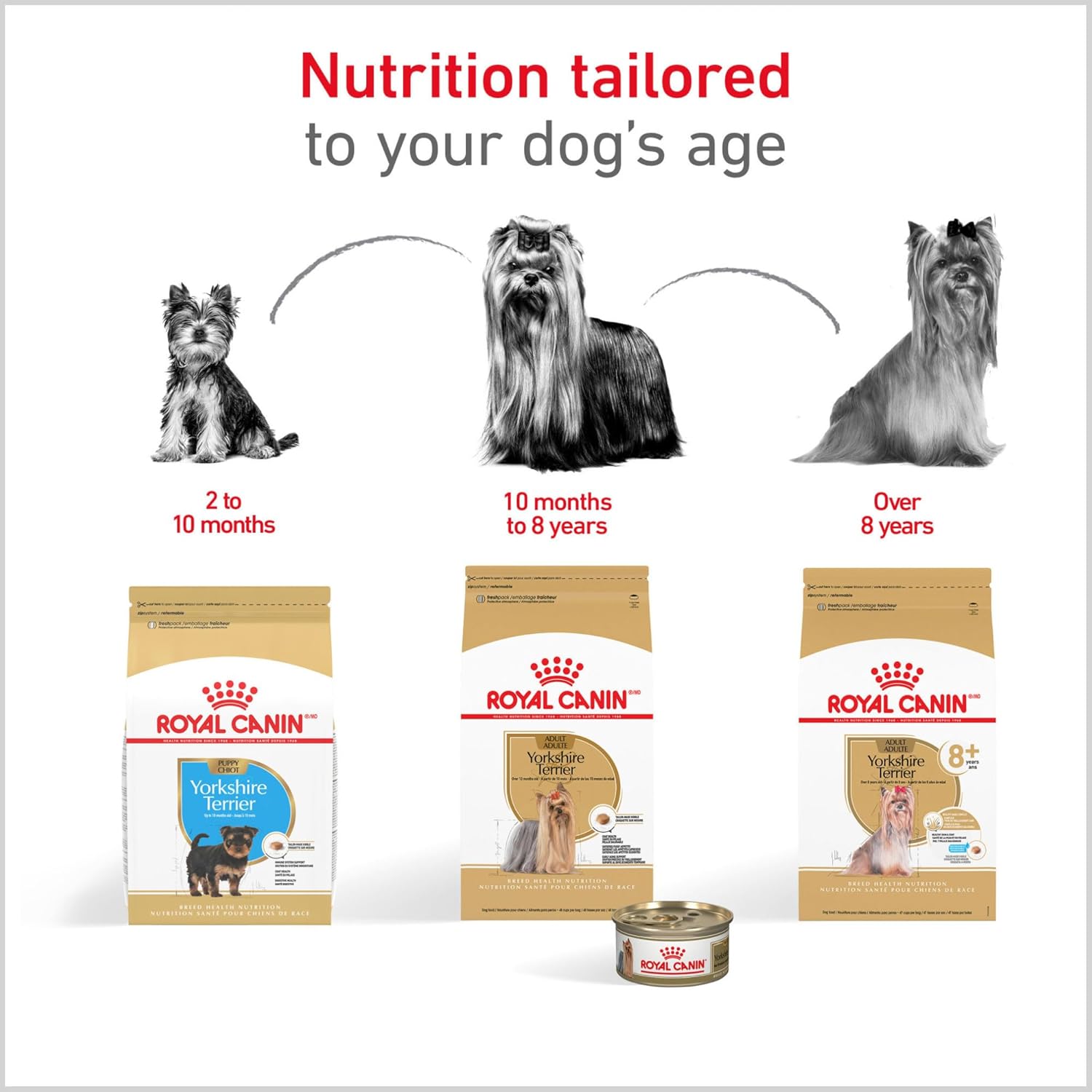Royal Canin Breed Health Nutrition Yorkshire Terrier Puppy Dry Dog Food, 2.5 lb Bag - Image 7