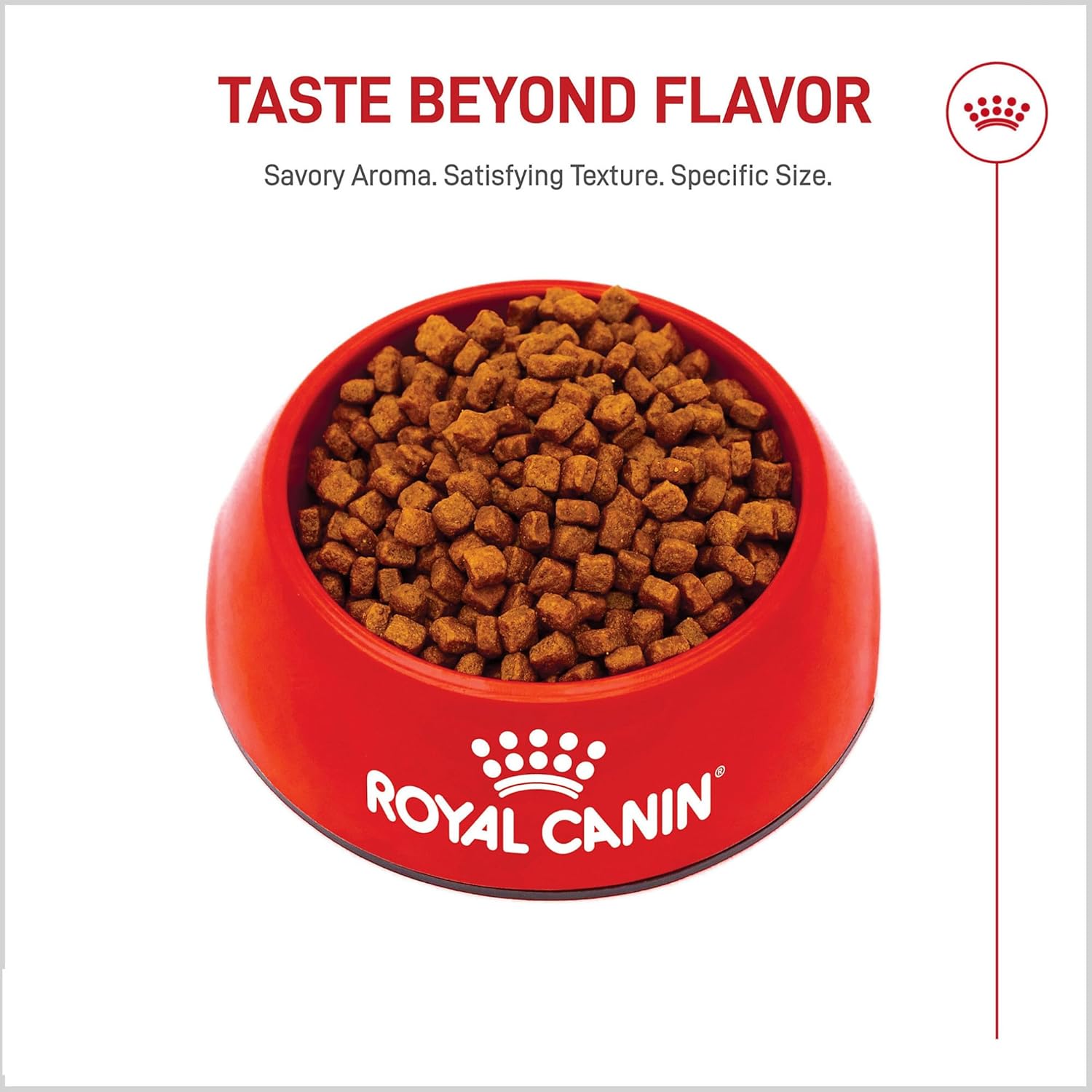 Royal Canin Breed Health Nutrition Yorkshire Terrier Puppy Dry Dog Food, 2.5 lb Bag - Image 8