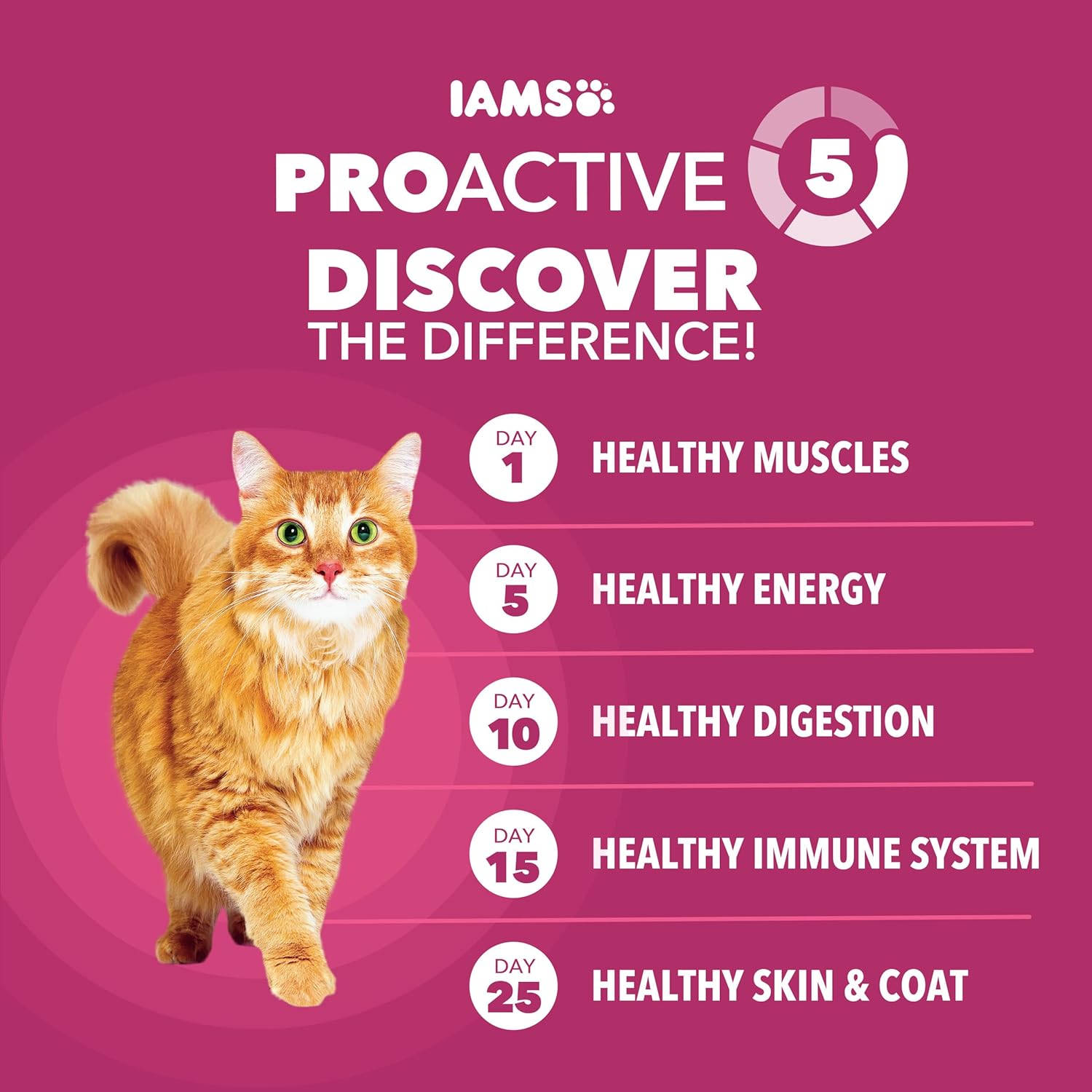 IAMS Proactive Health Adult Urinary Tract Health Dry Cat Food with Chicken, 7 lb. Bag - Image 5