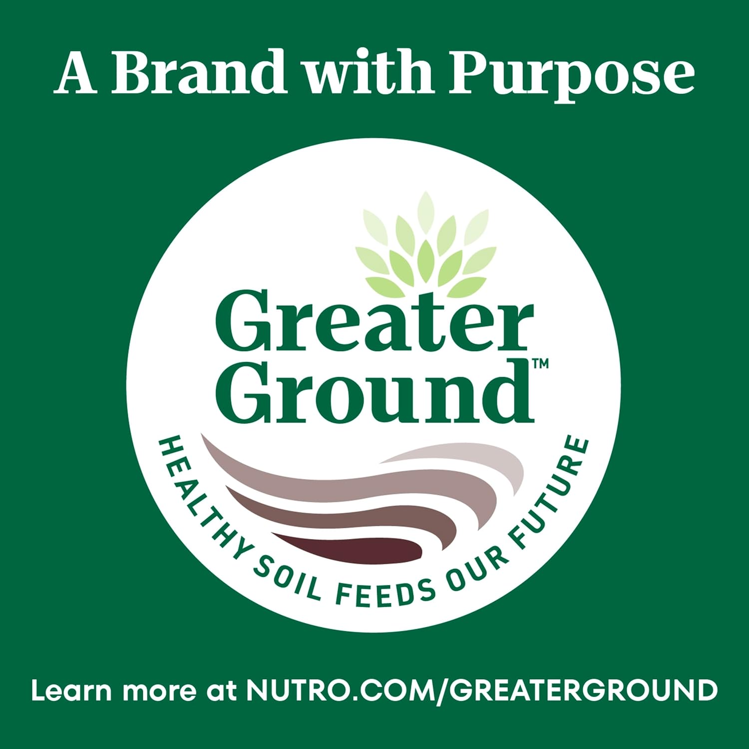 Nutro Wholesome Essentials Dry Cat Food, Adult Cat Food Dry Salmon & Brown Rice Recipe, 5 lb. Bag - Image 10