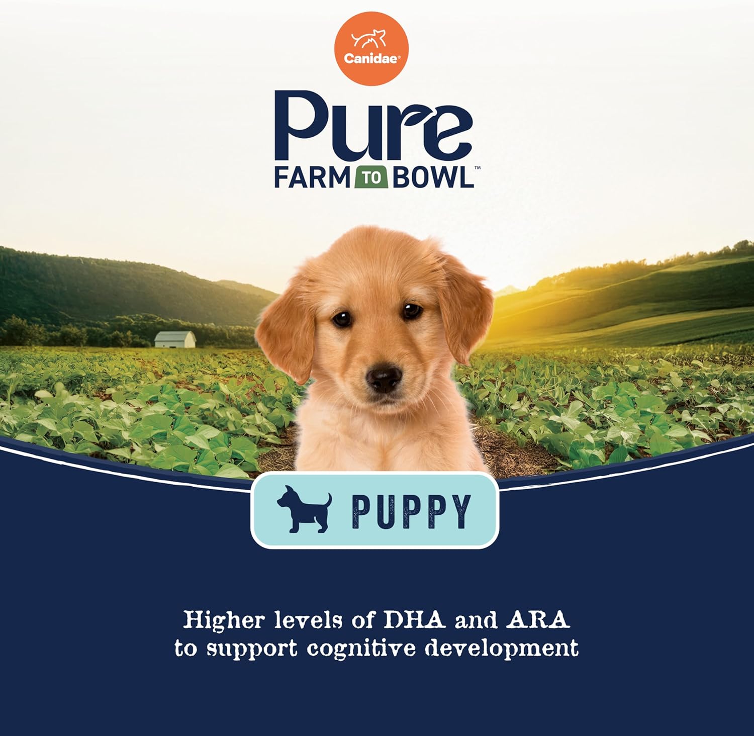 Canidae Pure Farm to Bowl Wild-Caught Salmon & Oatmeal, Puppy, Dog Food, 22lb - Image 4