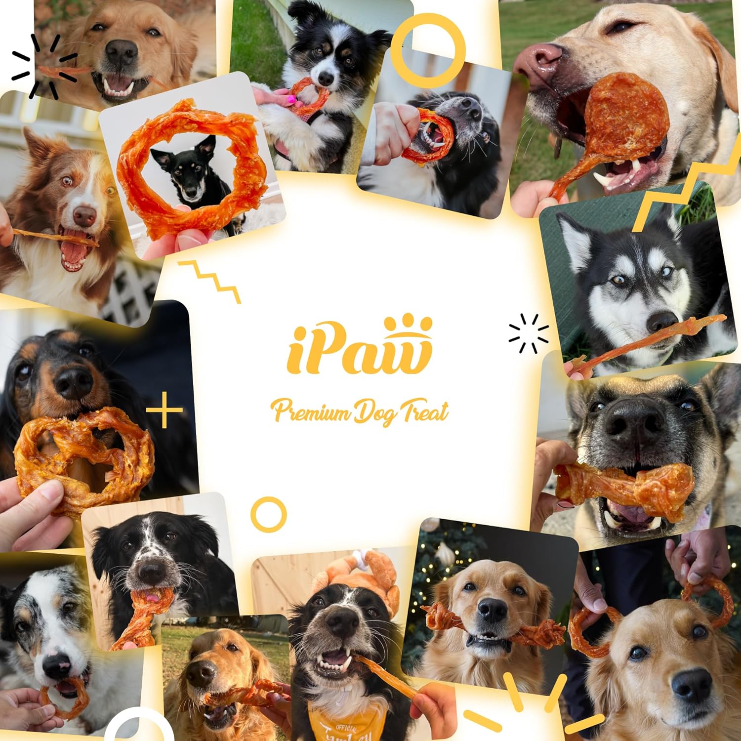 iPaw Turkey Tendons for Dogs, 100% Turkey and US Sourced Raw Material, Hypoallergenic, All Natural Human Grade Puppy Chew, Rawhide Alternative Dog Treats, 1 Pack Strip (Large) - Image 6