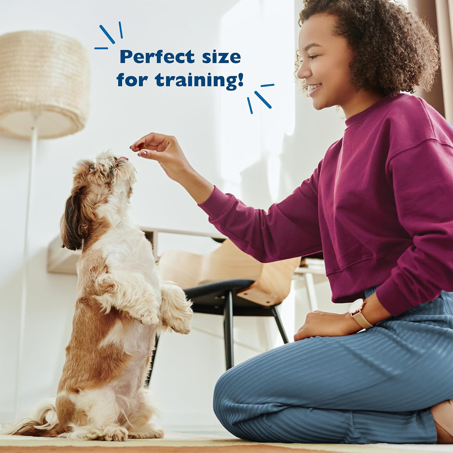 Bil-Jac Original Recipe Soft Training Treats for Dogs, Made with Real Chicken Liver, Resealable Double Zipper Pouch 20oz (2-Pack) - Image 6