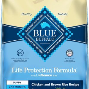 Blue Buffalo Life Protection Formula Puppy Dry Dog Food with DHA and ARA, Made with Natural Ingredients, Chicken & Brown Rice Recipe, 15 lb Bag