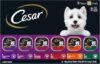 Cesar Wet Dog Food Classic Loaf in Sauce Grilled Chicken, Filet Mignon, Porterhouse Steak, Beef, Chicken & Liver and Turkey Variety Pack 3.5 oz. Easy Peel Trays (36 Count, Pack of 1)