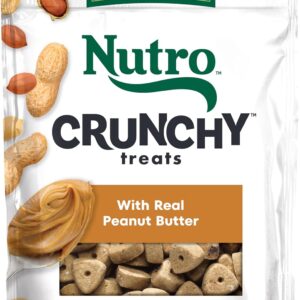 Nutro Crunchy Dog Treats with Real Peanut Butter, 16 oz. Bag