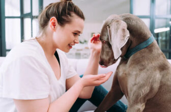 Redeem Reward Points on Subscriptions