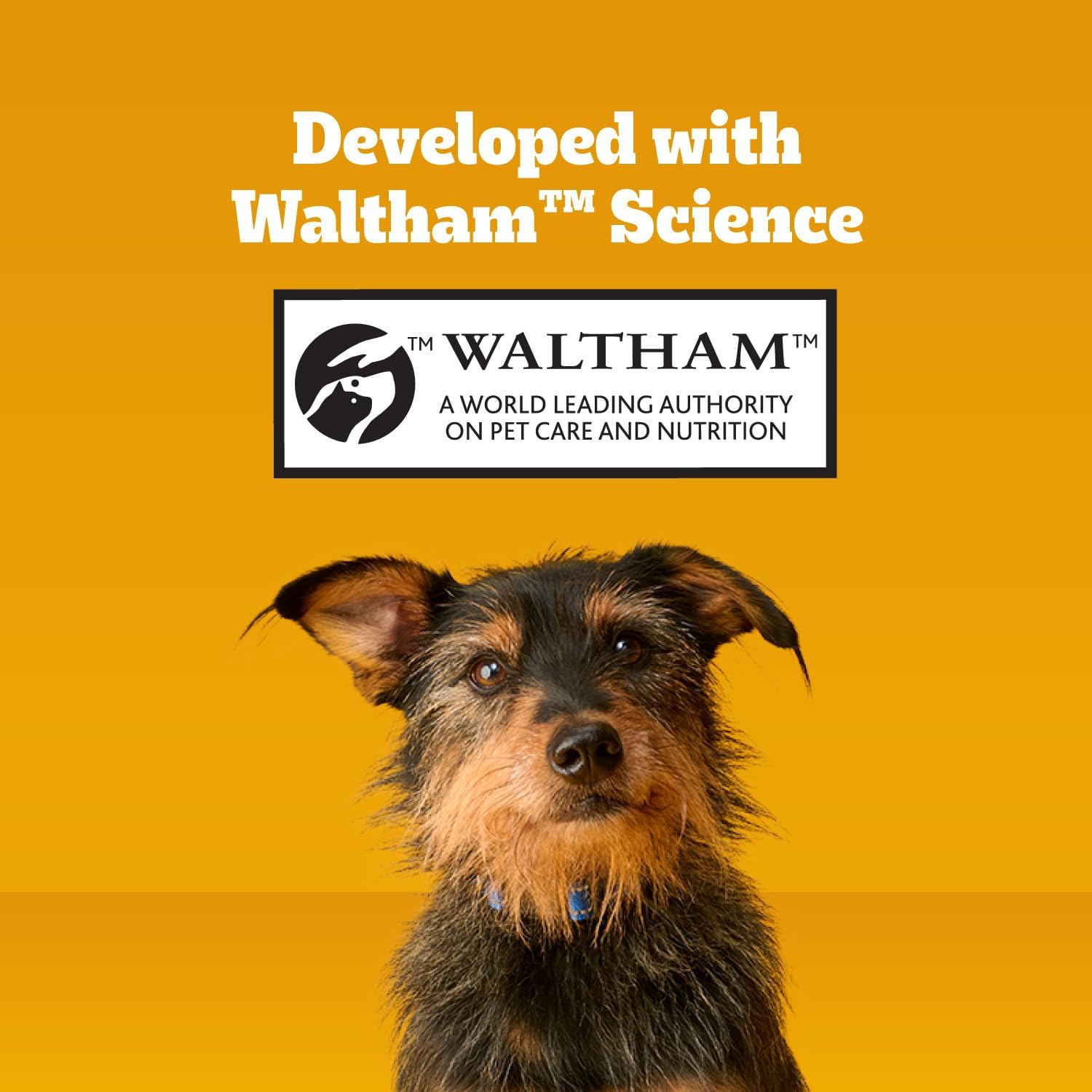 Pedigree Dentastix Small & Medium Breed Dog Treats, Original with Real Chicken, Dog Dental Treats, 21.1 oz. Bag (45 Treats Total) - Image 6