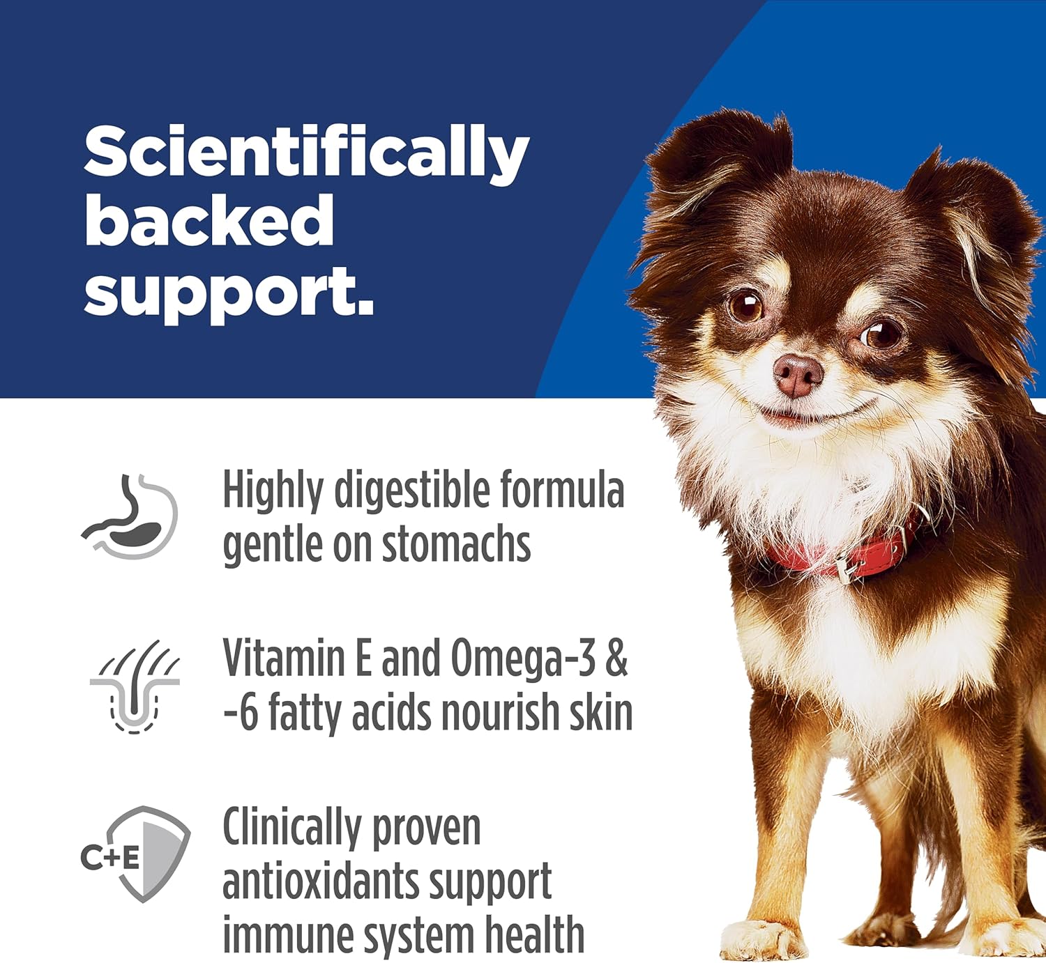 Hill's Science Diet Adult 1-6 Sensitive Stomach & Skin Small & Mini Breeds Dry Dog Food, Chicken Recipe, 4 lb. Bag (Updated Formula) - Image 4