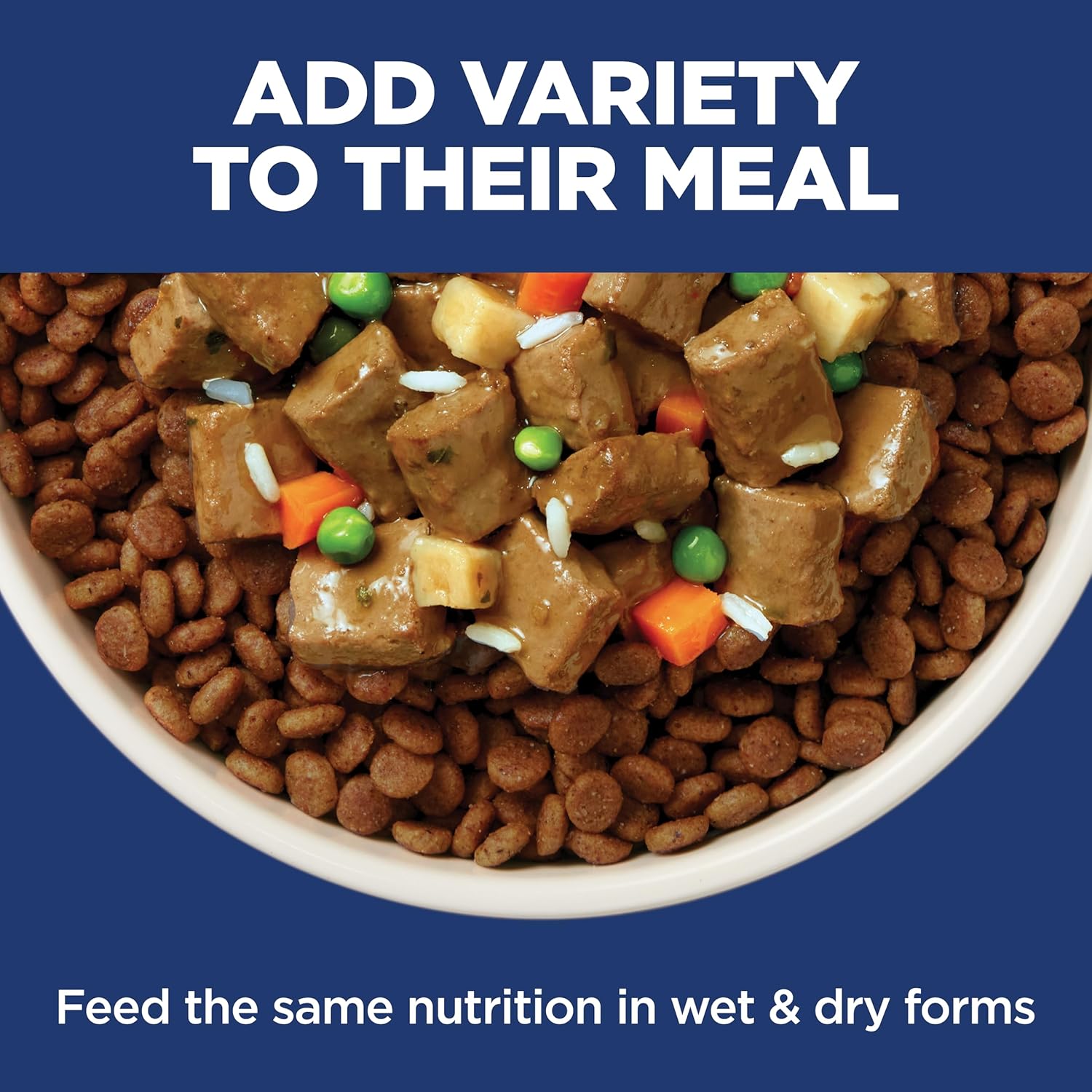 Hill's Science Diet Adult 1-6 Sensitive Stomach & Skin Small & Mini Breeds Dry Dog Food, Chicken Recipe, 4 lb. Bag (Updated Formula) - Image 10