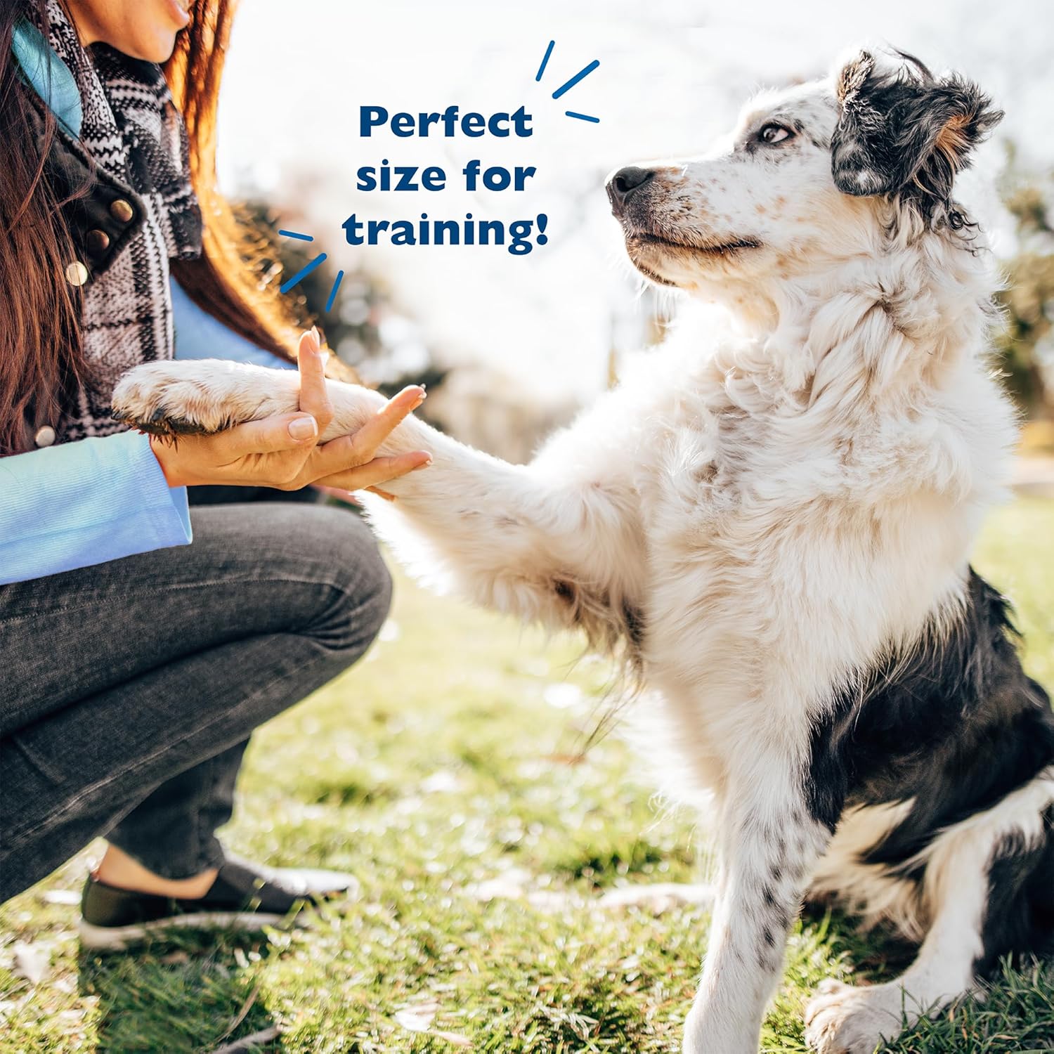 Bil-Jac PB-Nanas Soft Treats for Dogs, Peanut Butter Banana Flavor, Made with Real Chicken Liver, 4oz (4-Pack) - Image 5