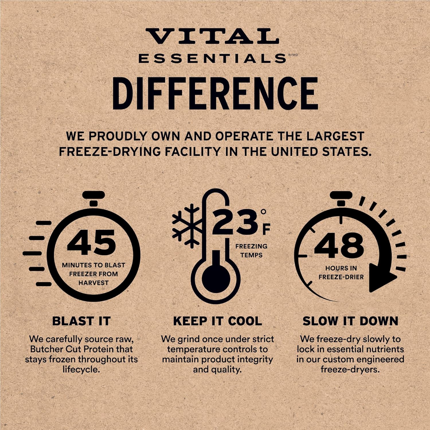 Vital Essentials Freeze Dried Minnows Dog Treats | Single Ingredient | Premium Quality | Grain Free Treats for Dogs, 1 oz Bag - Image 5