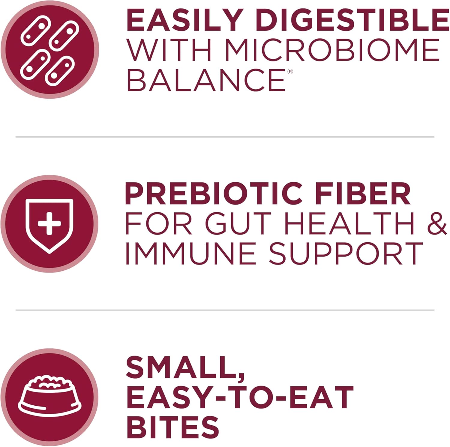 Purina ONE Small Bites Beef and Rice Formula Small High Protein Dry Dog Food Natural With Added Vitamins, Minerals and Nutrients - 31.1 lb. Bag - Image 3