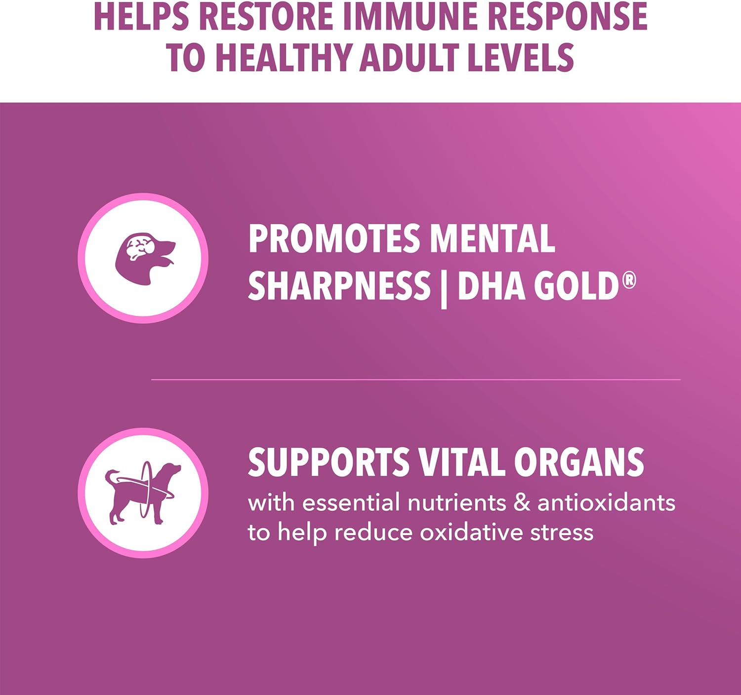 IAMS Proactive Health Dry Dog Food, Large Breed Mature Premium Adult Dog Food for Large Breeds, 29.1 lb. Bag - Image 4