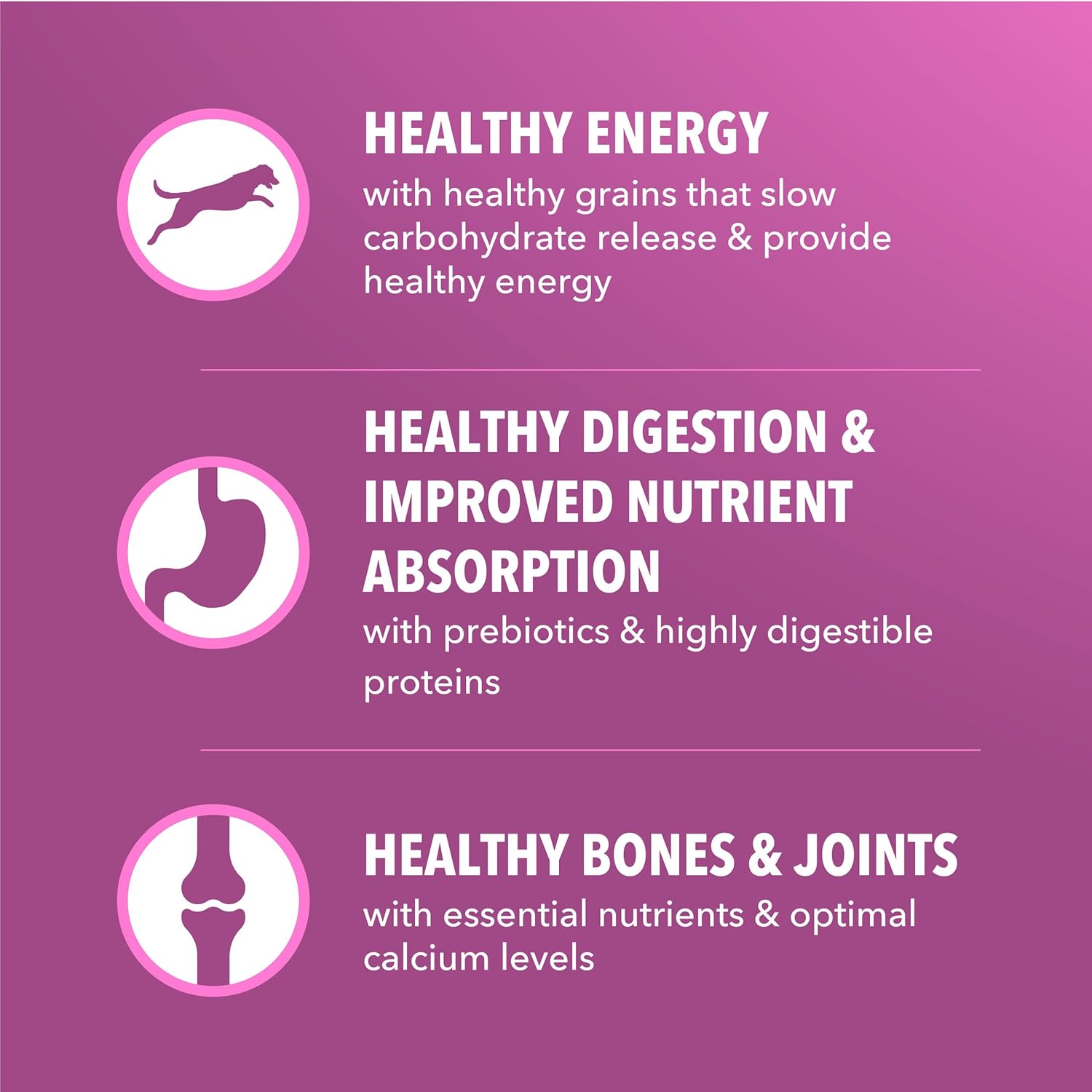 IAMS Proactive Health Dry Dog Food, Large Breed Mature Premium Adult Dog Food for Large Breeds, 29.1 lb. Bag - Image 5