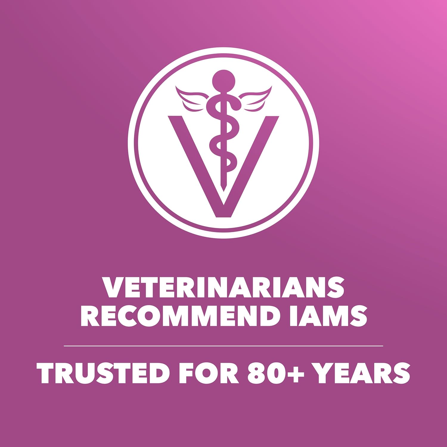 IAMS Proactive Health Dry Dog Food, Large Breed Mature Premium Adult Dog Food for Large Breeds, 29.1 lb. Bag - Image 6