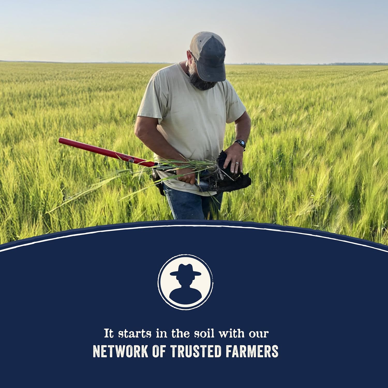 Canidae Pure Farm to Bowl Free-Range Bison & Barley Dog Food, Adult, 4lb - Image 6