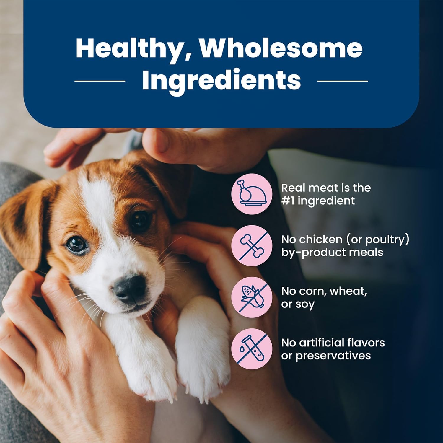 Blue Buffalo Life Protection Formula Small Breed Puppy Dry Dog Food with DHA, Vital Nutrients & Antioxidants, Made with Natural Ingredients, Chicken & Oatmeal Recipe, 15-lb. Bag - Image 7