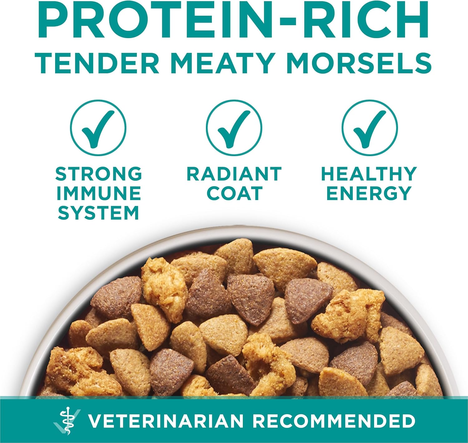 Purina One Plus Digestive Health Formula Dry Dog Food Natural with Added Vitamins, Minerals and Nutrients - 31.1 Lb. Bag - Image 6