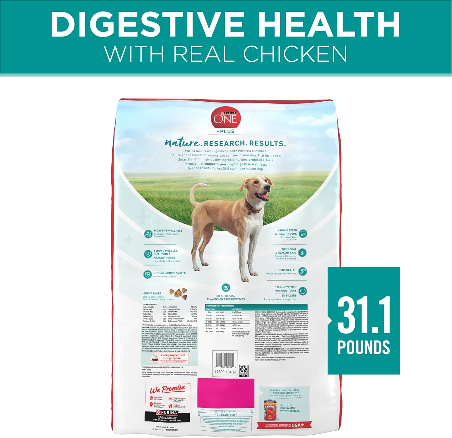 Purina One Plus Digestive Health Formula Dry Dog Food Natural with Added Vitamins, Minerals and Nutrients - 31.1 Lb. Bag - Image 8
