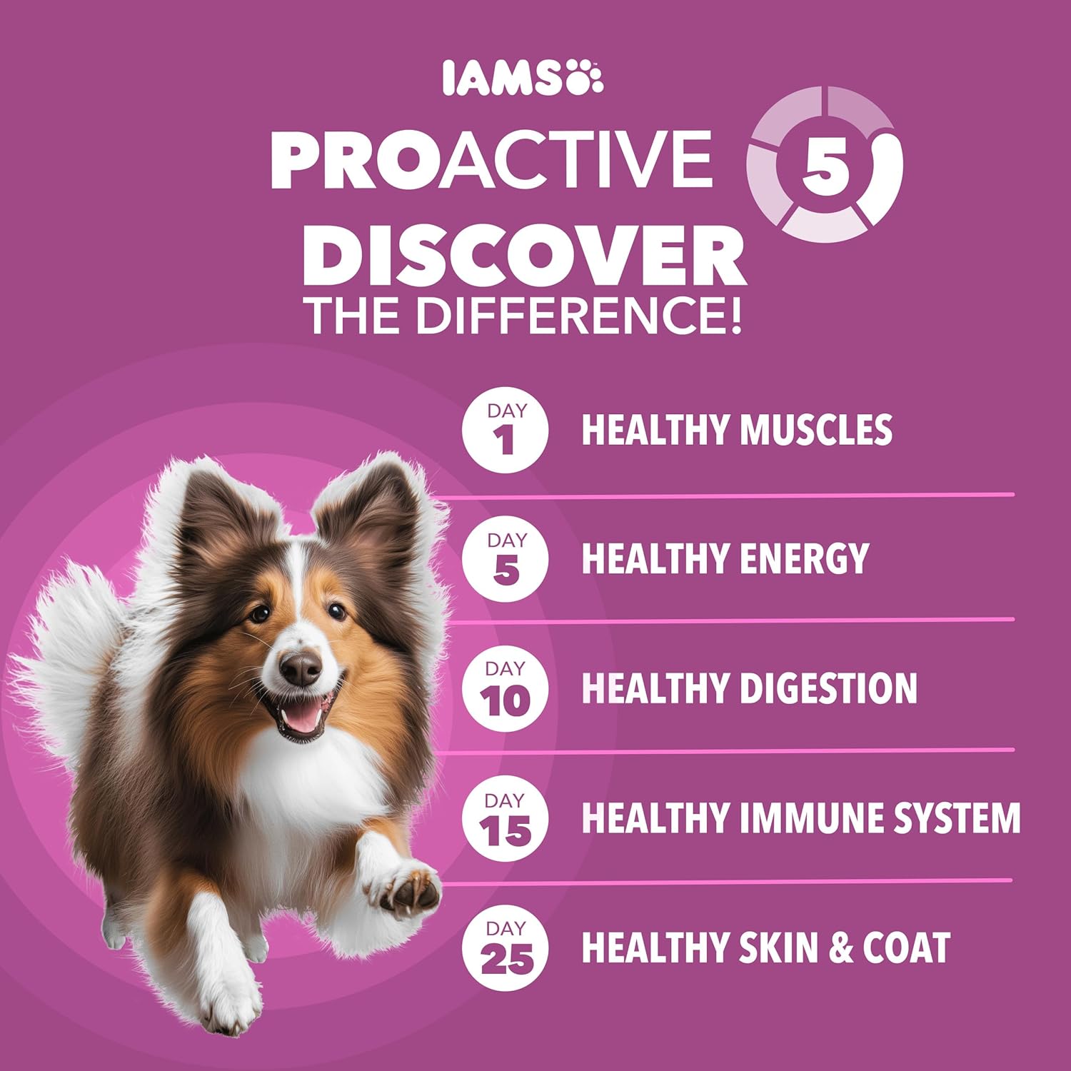 IAMS Proactive Health Dry Dog Food, Large Breed Mature Premium Adult Dog Food for Large Breeds, 29.1 lb. Bag - Image 2