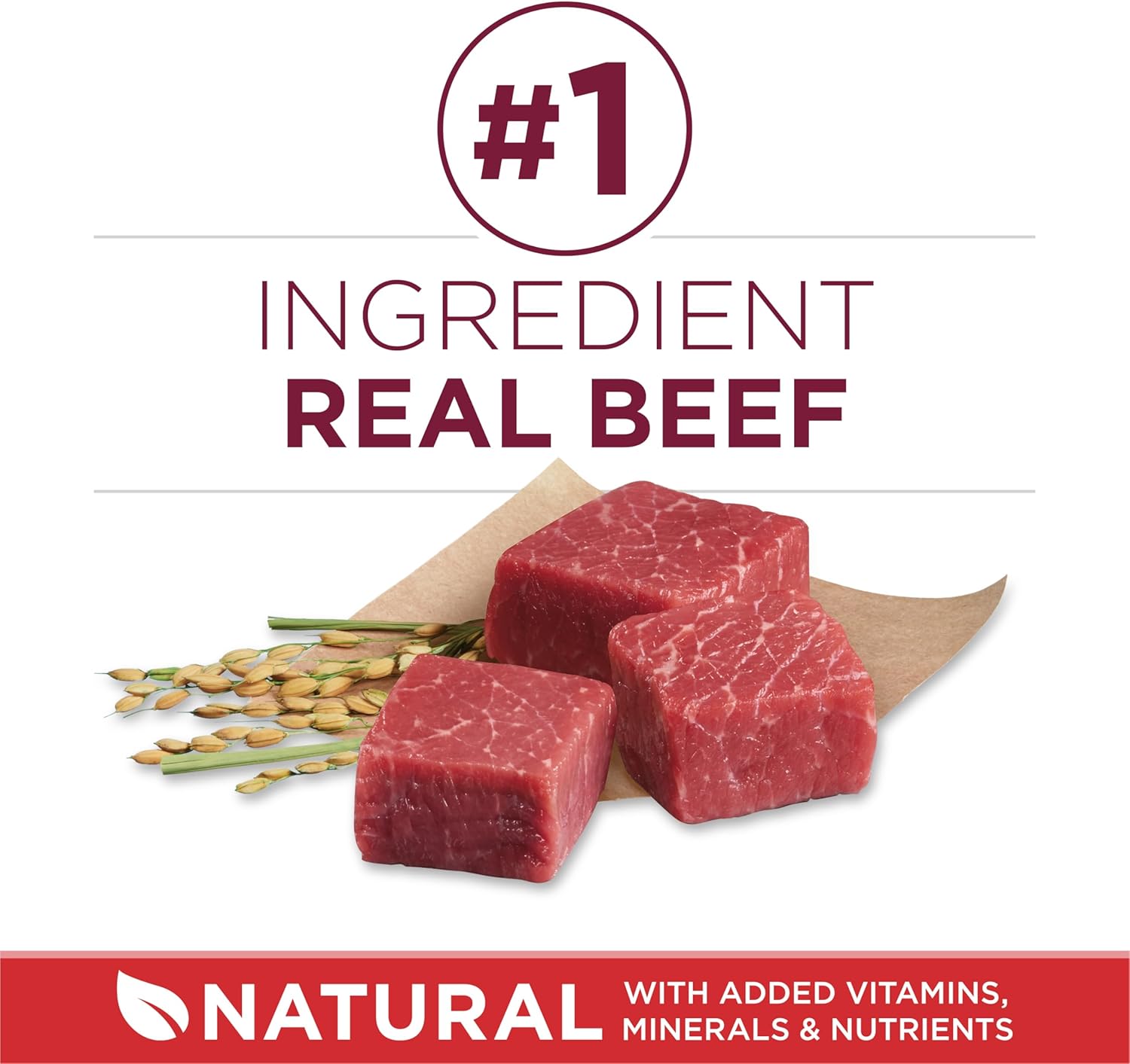 Purina ONE Small Bites Beef and Rice Formula Small High Protein Dry Dog Food Natural With Added Vitamins, Minerals and Nutrients - 31.1 lb. Bag - Image 2