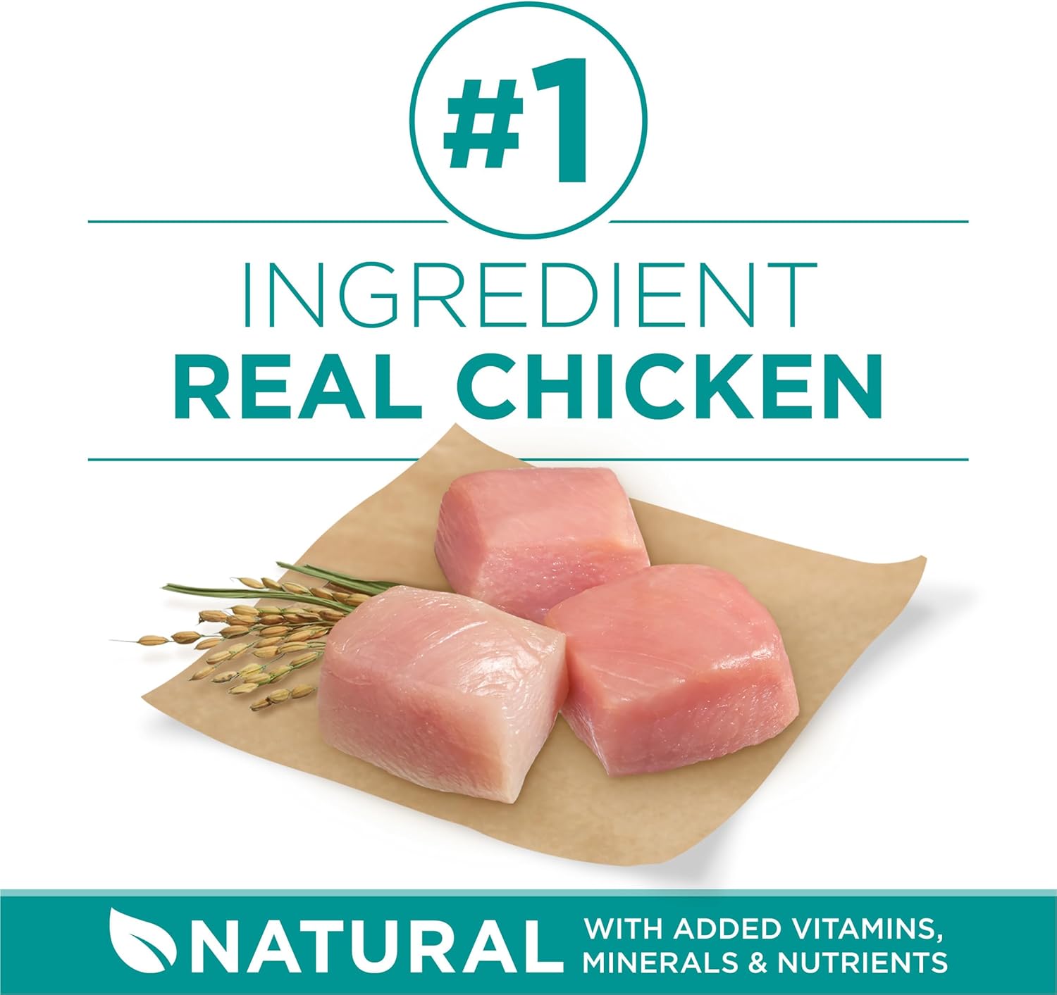 Purina One Plus Digestive Health Formula Dry Dog Food Natural with Added Vitamins, Minerals and Nutrients - 31.1 Lb. Bag - Image 2