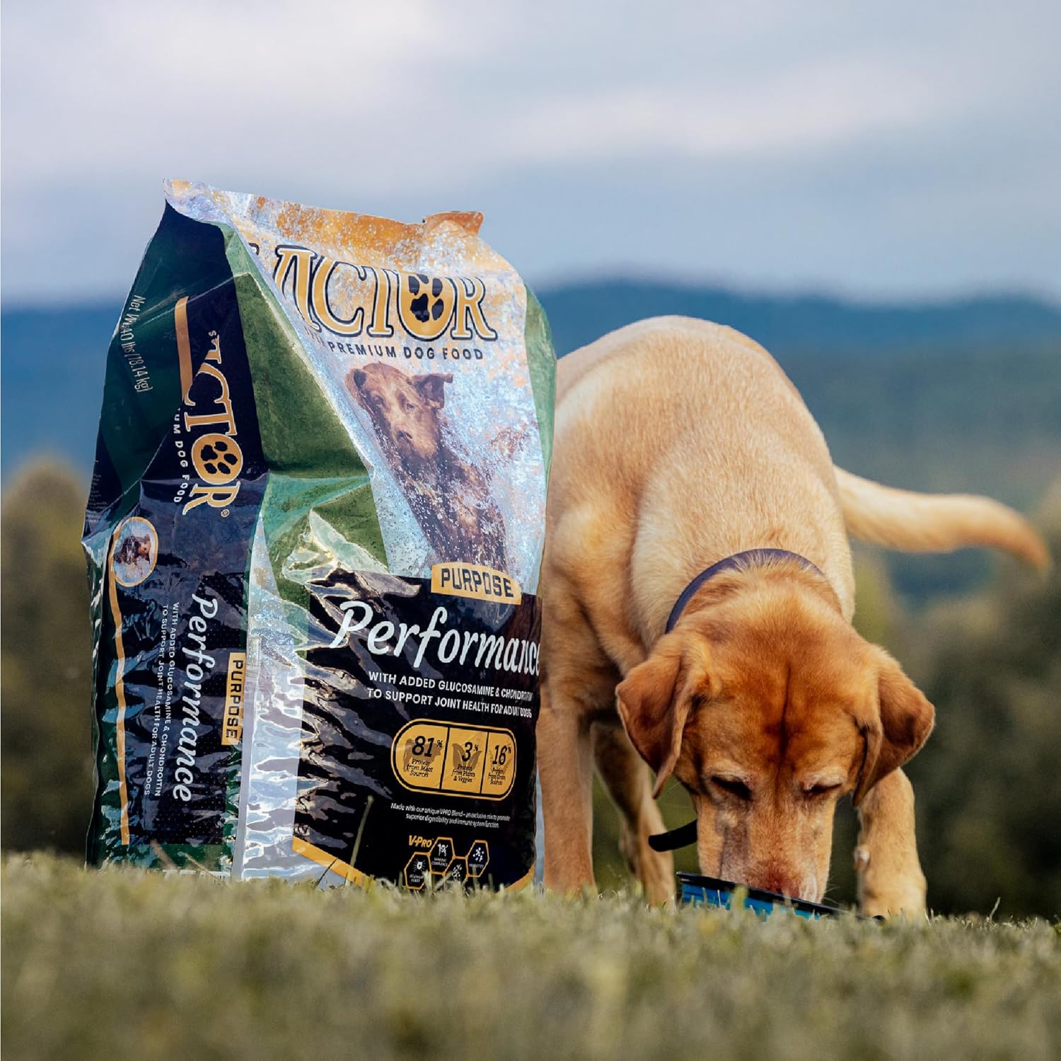 VICTOR Super Premium Dog Food – Performance Dry Dog Food from Beef, Chicken and Pork Meal – 26% Protein for Active Adult Dogs – Includes Glucosamine and Chondroitin for Hip and Joint Health, 40lbs - Image 2