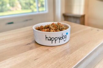 How to Balance Homemade Dog Food for Complete Nutrition