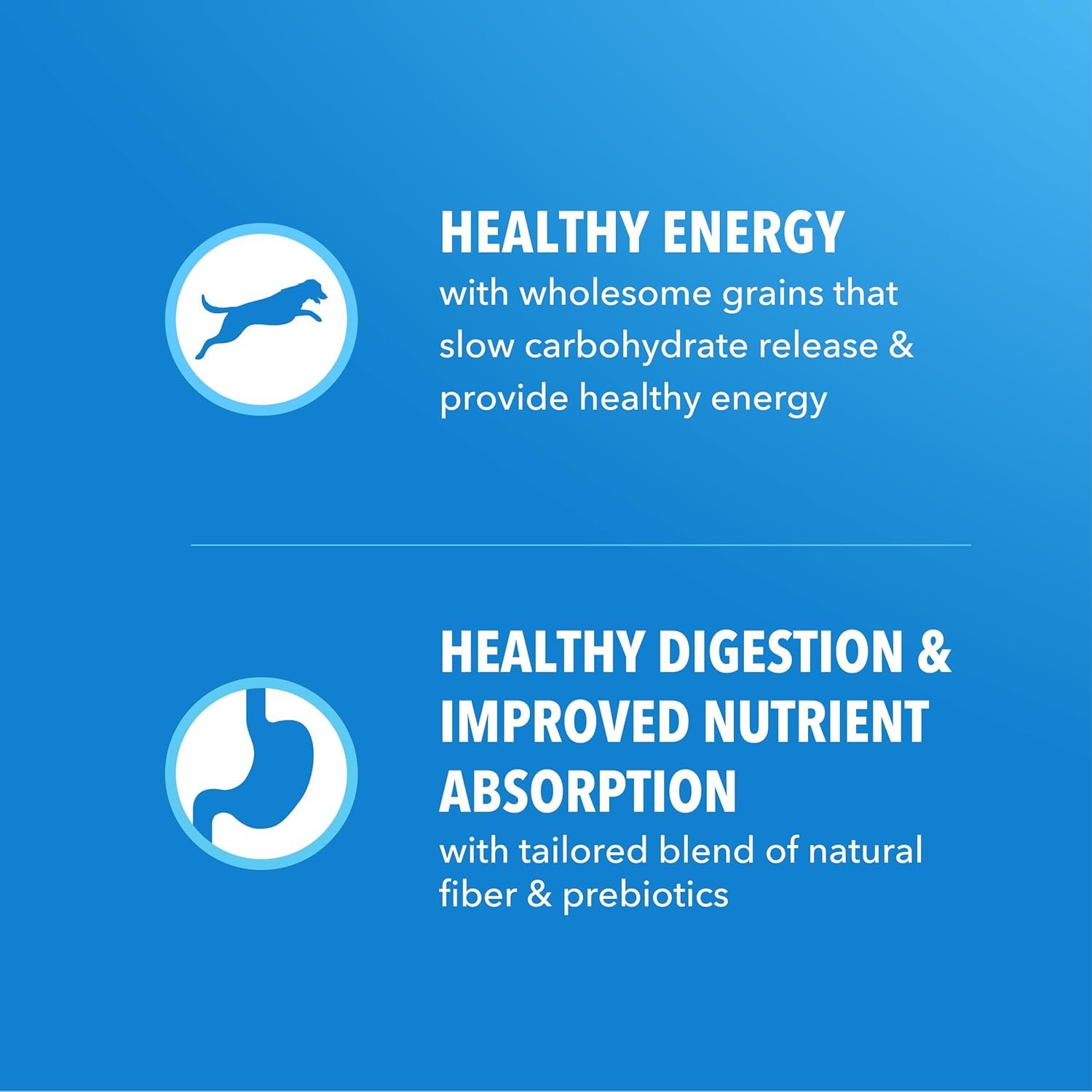 IAMS Proactive Health, Dry Dog Food, Adult Dog Food Dry Recipe for Healthy Weight, with Chicken, 15 lb. Bag - Image 5