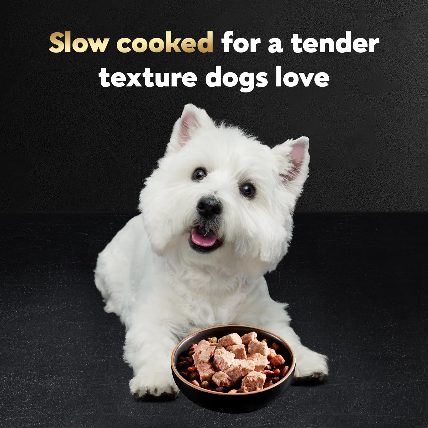 Cesar Classic Loaf in Sauce Adult Wet Dog Food Filet Mignon Flavor, Wet Food for Dogs, 3.5 oz Easy Peel Trays, 24 Count - Image 3