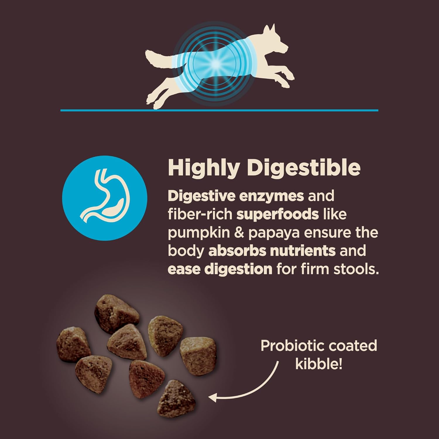 Wellness CORE Digestive Health Adult Dry Dog Food, Wholesome Grain Kibble, Sensitive Stomach, Natural, High Protein, Chicken Free, Whitefish and Brown Rice Recipe, 22 lb Bag - Image 3