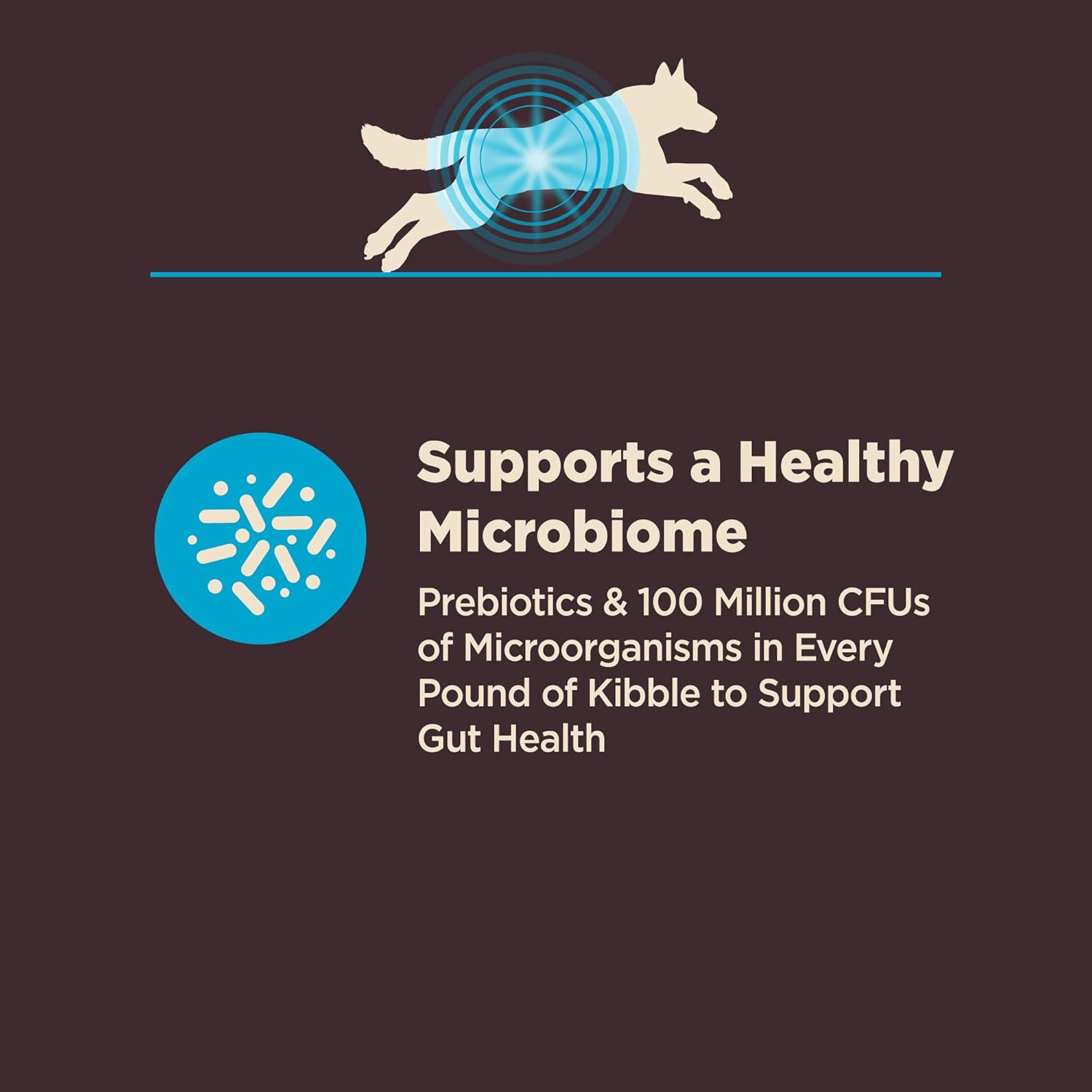 Wellness CORE Digestive Health Adult Dry Dog Food, Wholesome Grain Kibble, Sensitive Stomach, Natural, High Protein, Chicken Free, Whitefish and Brown Rice Recipe, 22 lb Bag - Image 4