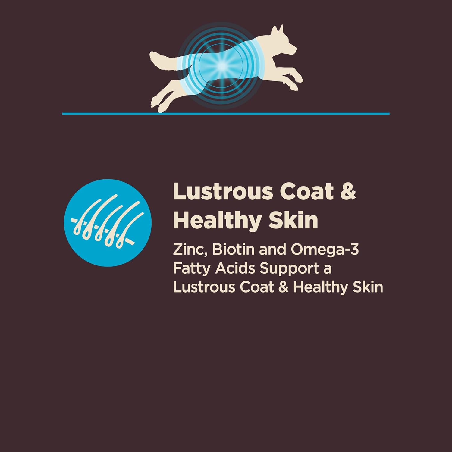 Wellness CORE Digestive Health Adult Dry Dog Food, Wholesome Grain Kibble, Sensitive Stomach, Natural, High Protein, Chicken Free, Whitefish and Brown Rice Recipe, 22 lb Bag - Image 5