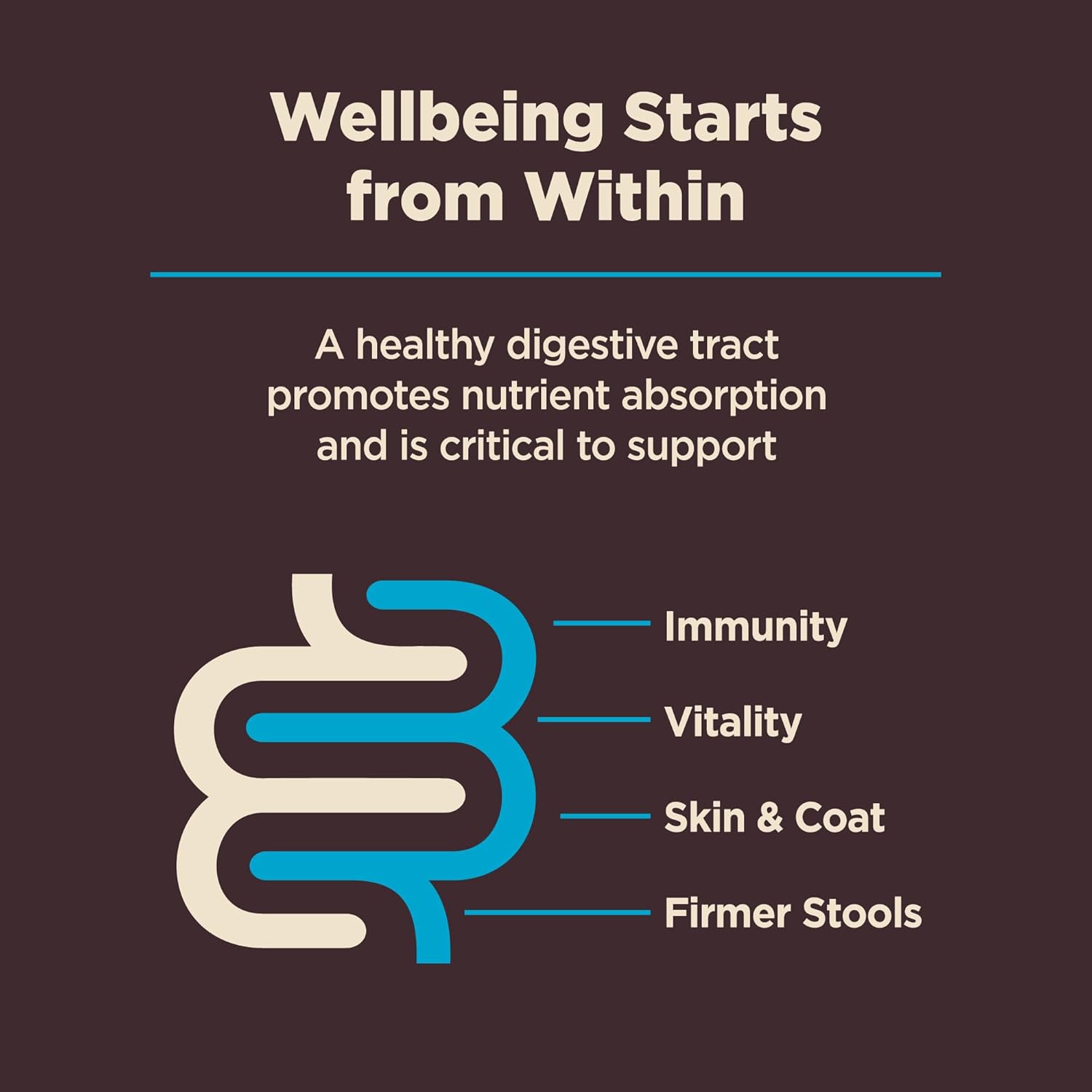 Wellness CORE Digestive Health Adult Dry Dog Food, Wholesome Grain Kibble, Sensitive Stomach, Natural, High Protein, Chicken Free, Whitefish and Brown Rice Recipe, 22 lb Bag - Image 6