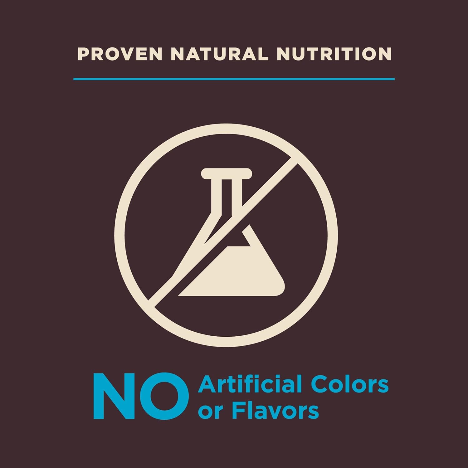 Wellness CORE Digestive Health Adult Dry Dog Food, Wholesome Grain Kibble, Sensitive Stomach, Natural, High Protein, Chicken Free, Whitefish and Brown Rice Recipe, 22 lb Bag - Image 7