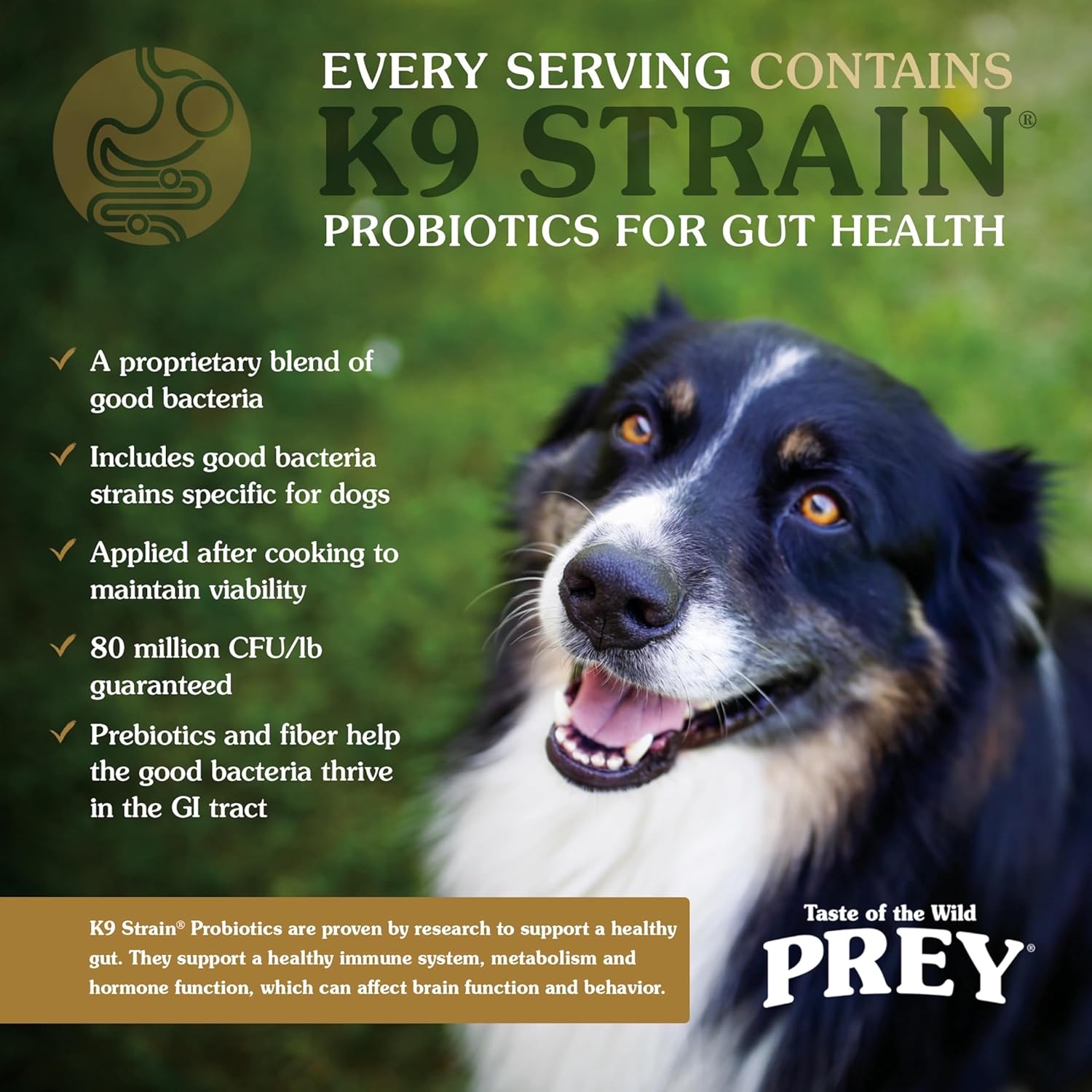 Taste of the Wild Prey Real Meat High Protein Trout Limited Ingredient Dry Dog Food Grain-Free Recipe Made with Real Spring-Fed Trout, and Includes Probiotics for All Life Stages 25 lb - Image 6