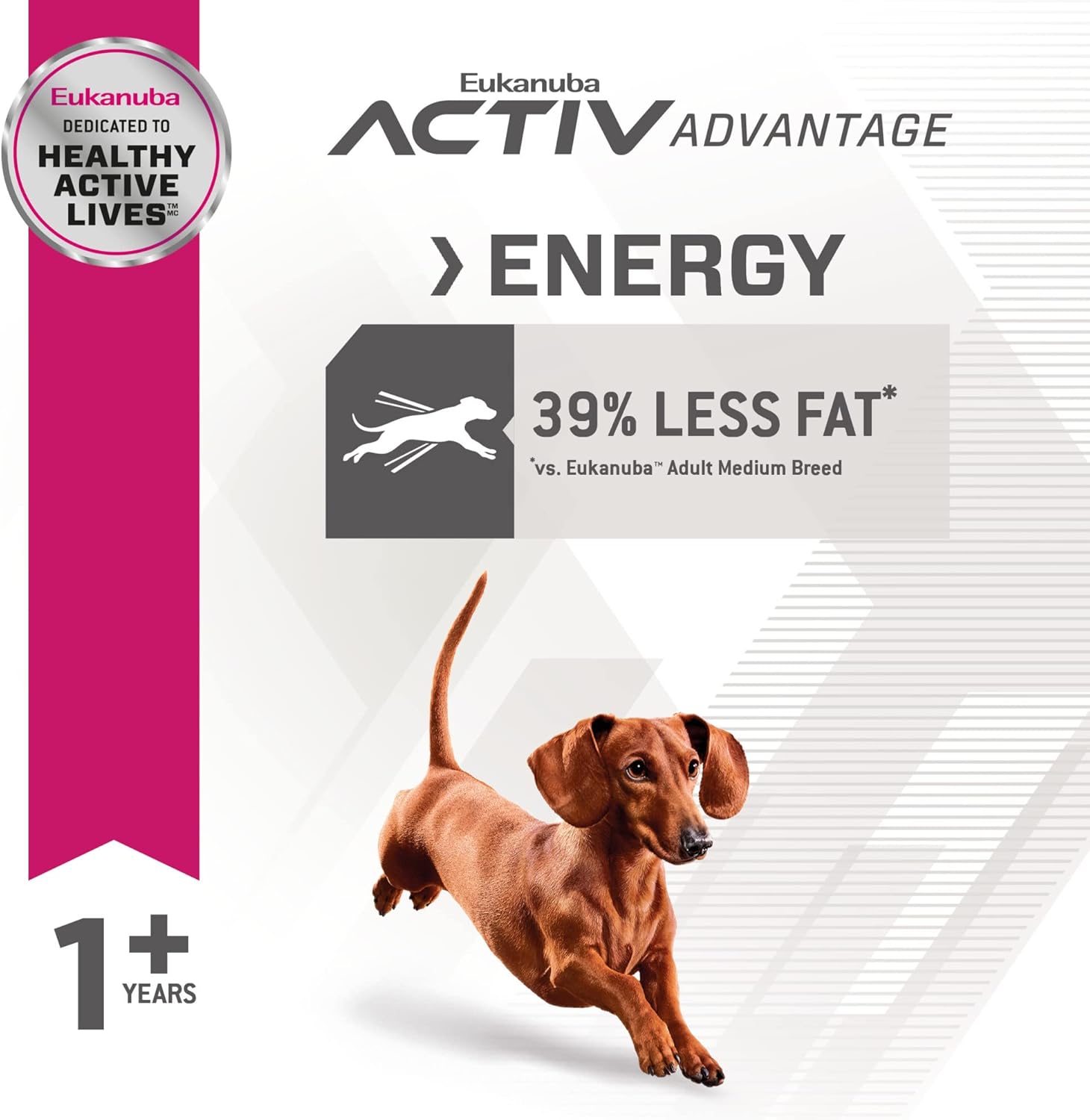 Eukanuba Fit Body Weight Control Small Breed Adult Dry Dog Food, 15 lb Bag - Image 5