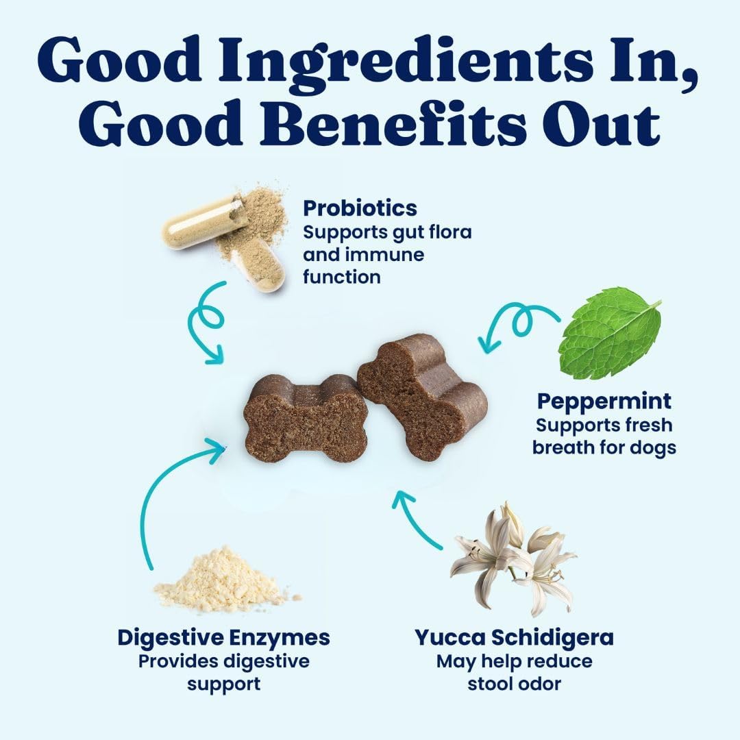 Solid Gold No Poo Chews for Dogs - Coprophagia Deterrent & Stool Eating Deterrent for Dogs that Eat Dog Poop - Stop Eating Poop Chews with Peppermint & Probiotics for Gut & Breath Aid Support - 60ct - Image 3