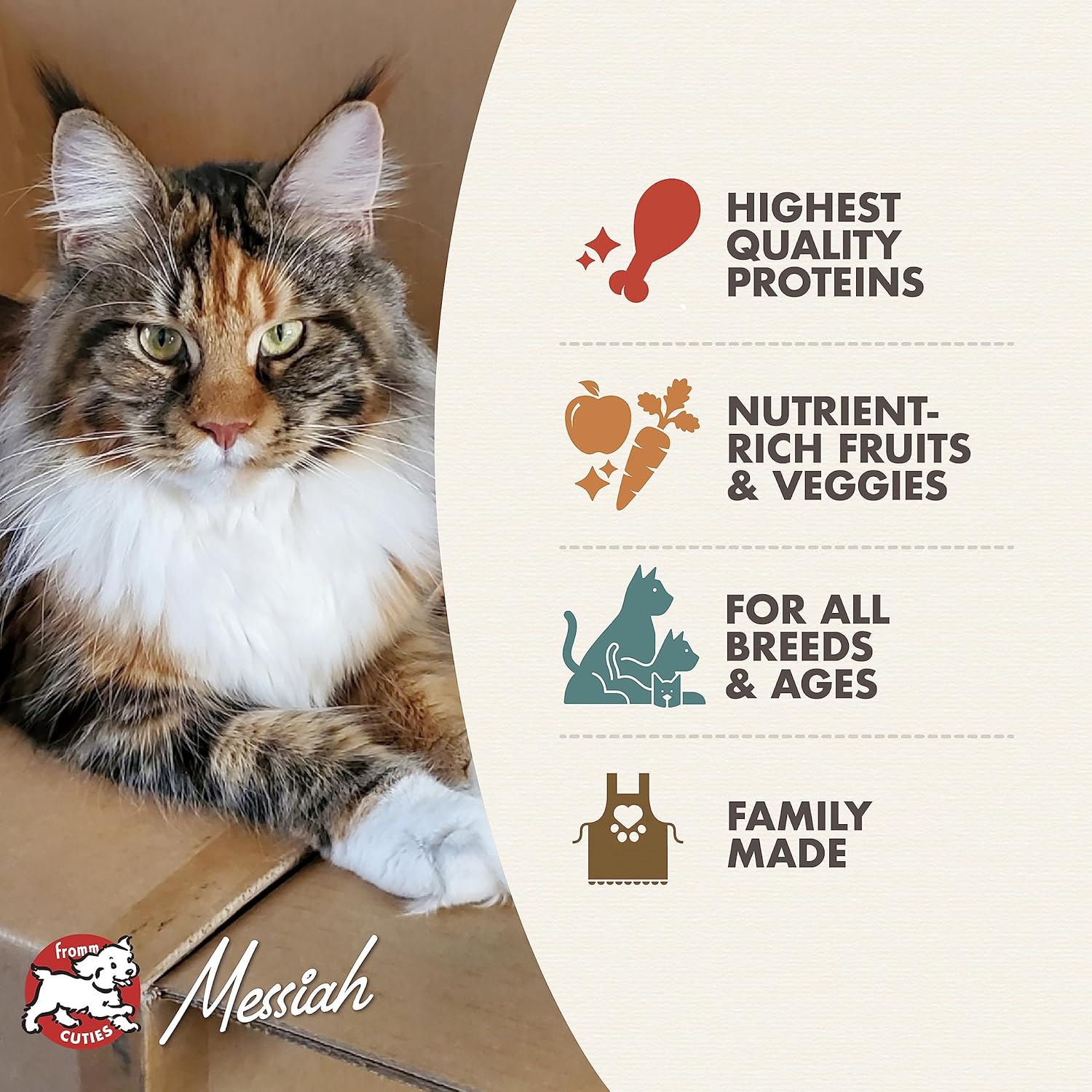 Fromm Four-Star Nutritionals Game Bird Cat Food - Premium Dry Cat Food - Turkey Recipe - 4 lb - Image 3