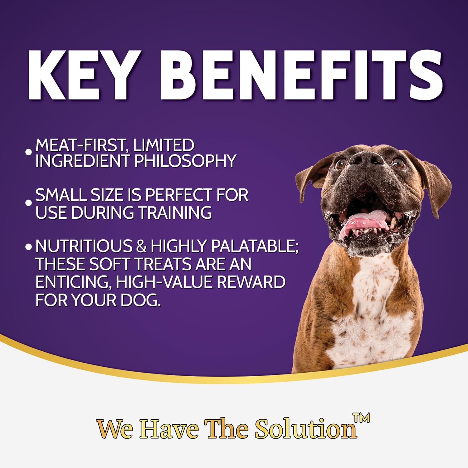 Zignature Salmon Soft Moist Treats for Dogs - Image 4