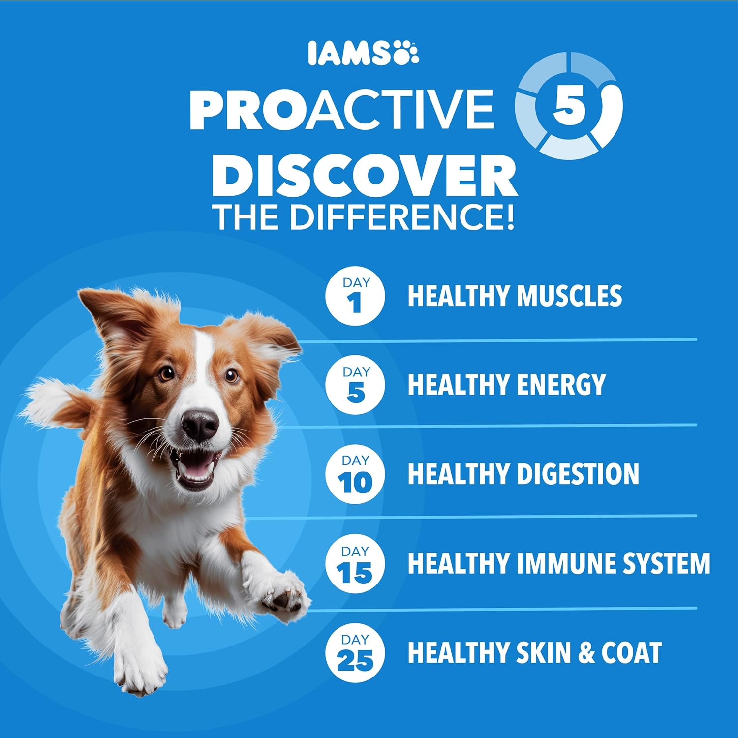 IAMS Proactive Health, Dry Dog Food, Adult Dog Food Dry Recipe for Healthy Weight, with Chicken, 15 lb. Bag - Image 2