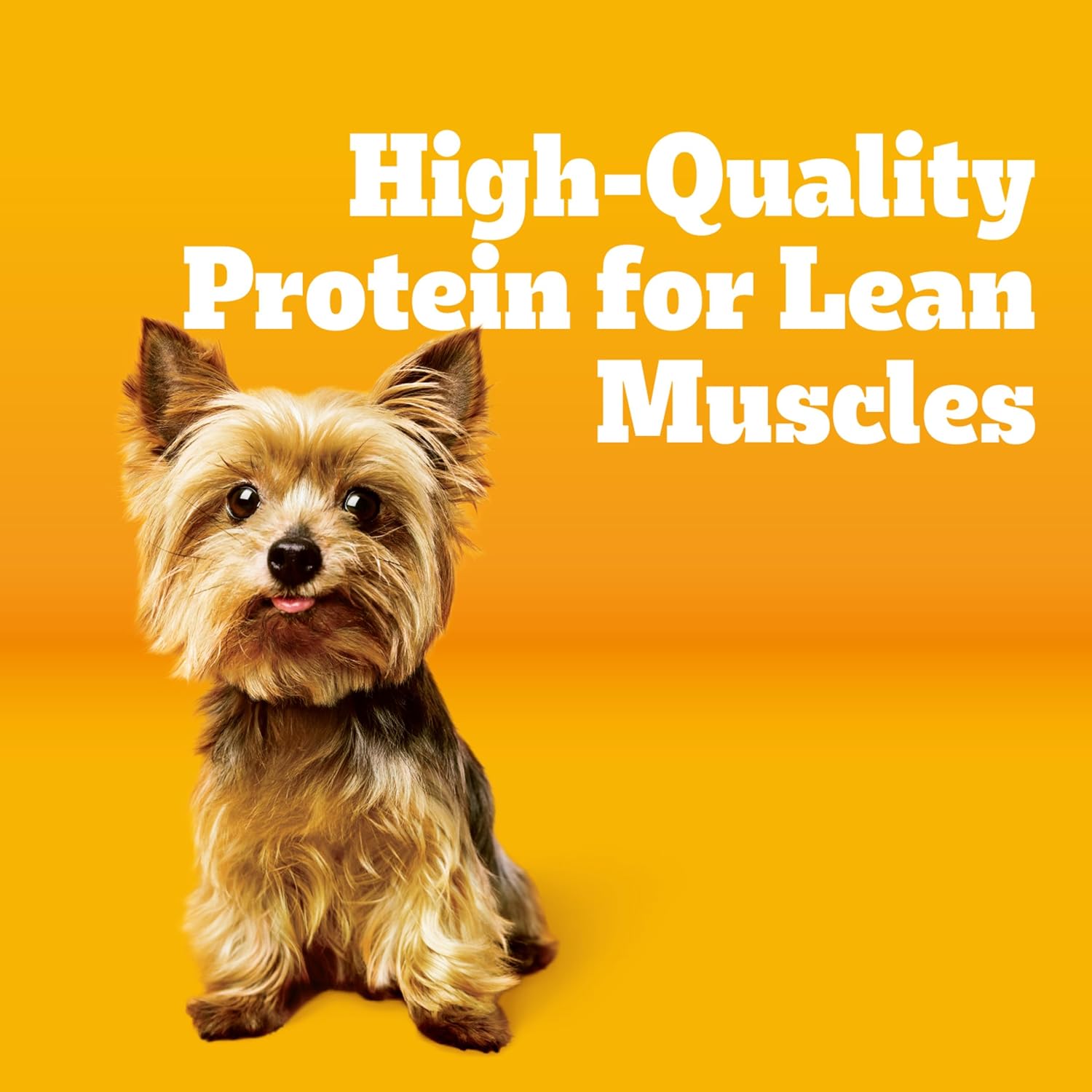 Pedigree Dry Dog Food Tender Bites for Small Breed Dogs, Adult Chicken and Steak Flavor, 14 lb. Bag - Image 2