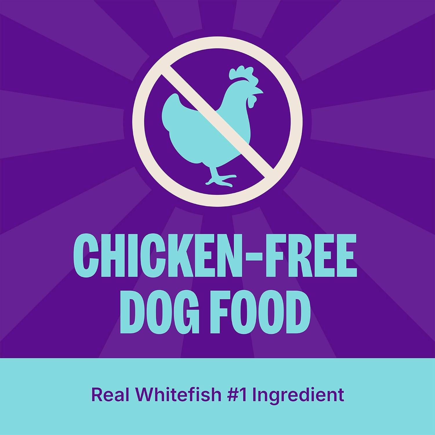 Wellness CORE Digestive Health Adult Dry Dog Food, Wholesome Grain Kibble, Sensitive Stomach, Natural, High Protein, Chicken Free, Whitefish and Brown Rice Recipe, 22 lb Bag - Image 2