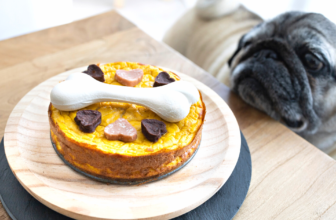22 Reasons to Treat Your Furry Friend to a Dog Cake – The Dog Bakery